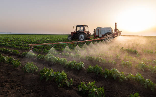 Professional Pest Control in Goldthwaite, TX