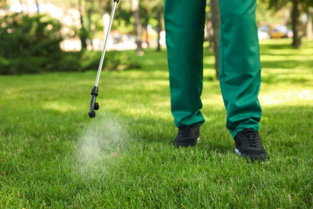 Best Pest Prevention Services  in Goldthwaite, TX