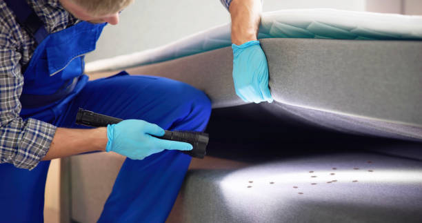 Best Pest Control Near Me in Goldthwaite, TX