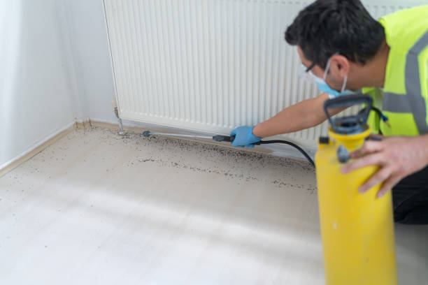Best Best Pest Control Companies  in Goldthwaite, TX